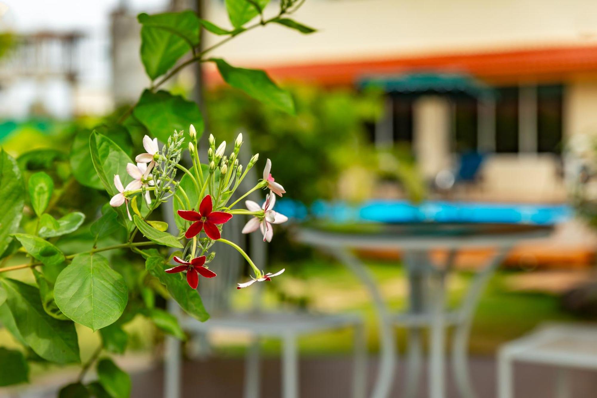 Casa Amora Lonavala Exteriör bild